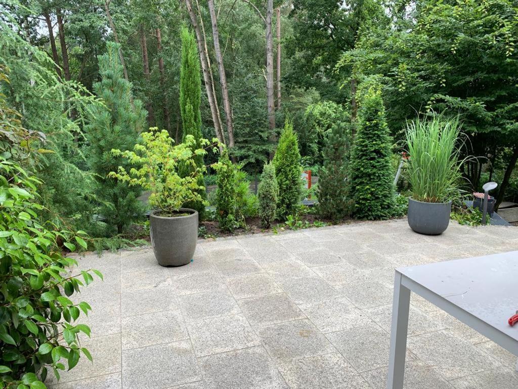 Ferienhaus Bendestorf, Waldweg 38,Naehe Hamburg Esterno foto